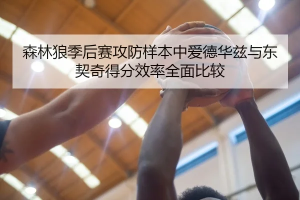 森林狼季后赛攻防样本中爱德华兹与东契奇得分效率全面比较